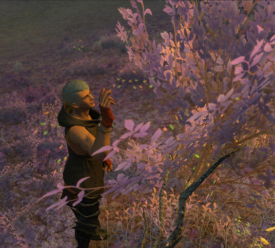 A unique tree catches his attention