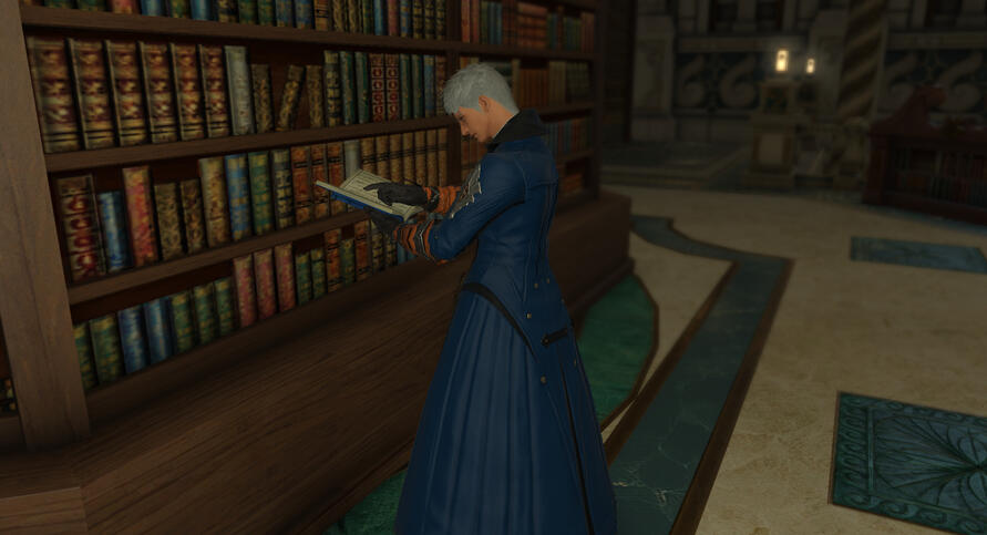 Performing research in the Noumenon